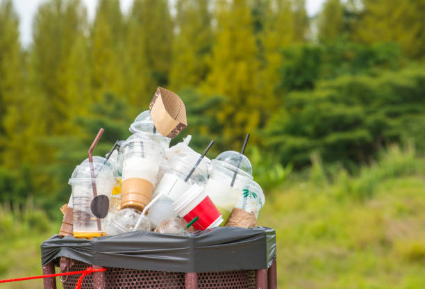 Best Commercial Junk Removal  in Boulevard Park, WA